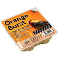 BIRDFOOD BURST SUET CAKE ORG
