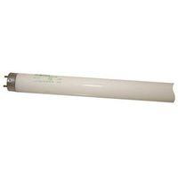 BULB LT 17WT8 24IN 6500K 85CRI