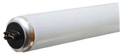 GE 60W 48" CW Fluo Bulb