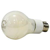 LED 13W A21 5000K DIM DAYLIGHT