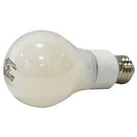 LED 13WA21 5K DIM DAYLIGHT PK4
