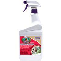 BREW DEAD BUG RTU QT