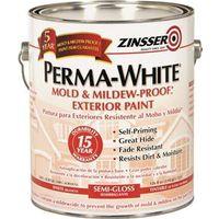 PAINT EXTR LATEX SG MILDEW GA