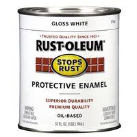 PAINT RST OBS IN EX GLO WHT QT