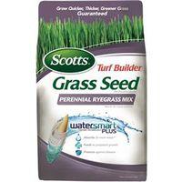 5.6LB Peren Rye Seed