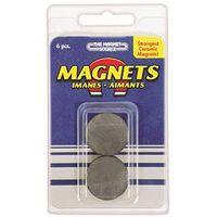 MAGNET CERAMIC 1X5/32INCH 6PC
