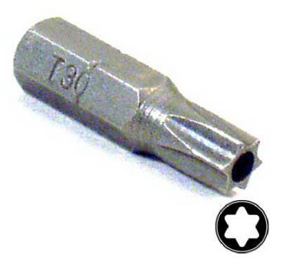T30 Security Insert Bit