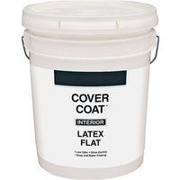 PAINT IN FLAT LTX DOVER WHT 5G