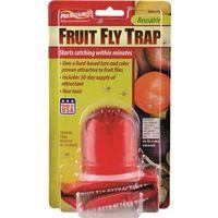 TRAP FRUIT FLY SINGLE PACK