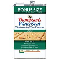 PROTECTOR WOOD EXT CLR VOC GAL