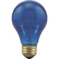 BULB LT 25W BLU 1/BX