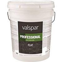 PAINT EXTERIOR FLT LTX WHT 5G
