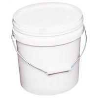 PAINT PAIL PLASTIC INDSTRL 2G