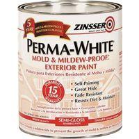 PAINT EXTR LATEX SG MILDEW QT
