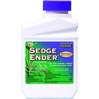 SEDGE ENDER CONCENTRATE PT