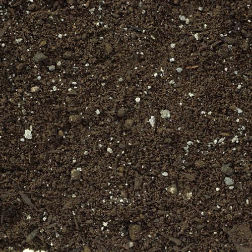Garden Blend Soil Bulk