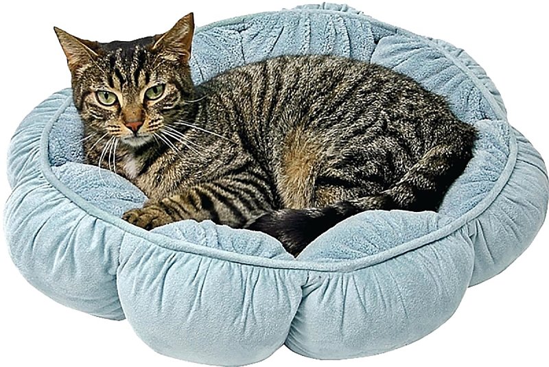 Pet Supplies