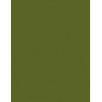 8-1/2X11 30MIC 261X 3MILDC 200/case