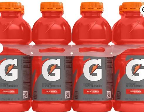 GATORADE THIRST QUENCHER FRUIT PUNCH