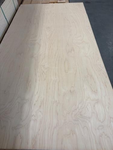 1/2" D-3 ROT. NAT. MAPLE WPF VC O/S