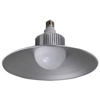 BULB LIGHT UTILITY LED 2500 L 