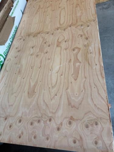 23/32" T&G FIR SIF PLYWOOD 4x8