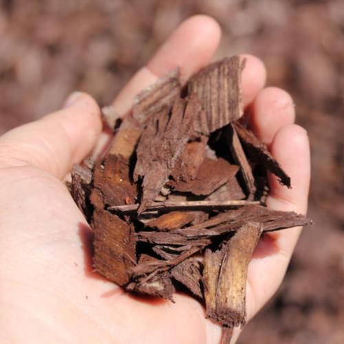 Brown-Chip