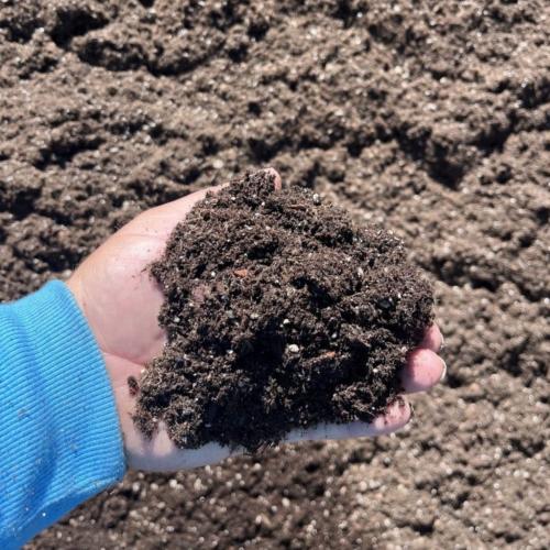 Pro Potting Soil