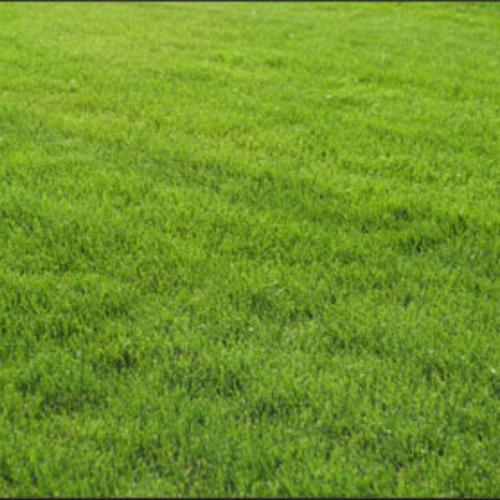 RIDGESIDE-NO MOW