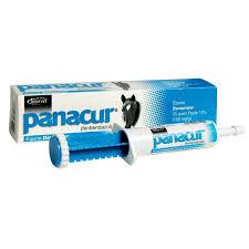 Panacur Dewormer Paste 10%