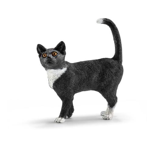 Cat Standing