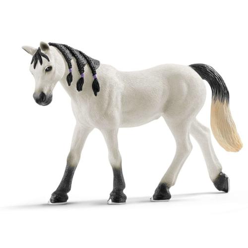 Arabian Mare