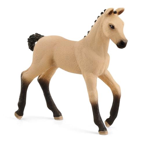 Hannoverian Foal  Red Dun