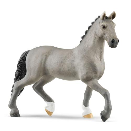 Cheval De Selle Francais Stallion