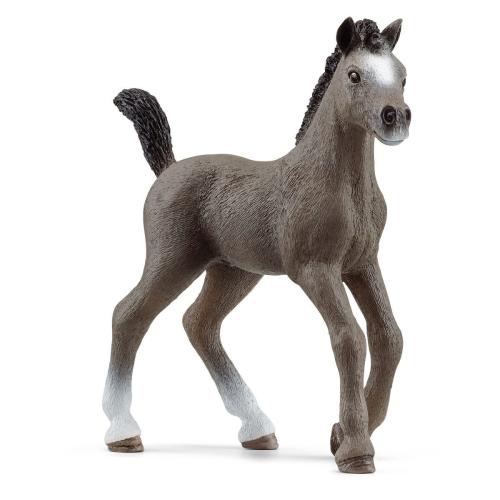 Cheval De Selle Fr. Foal