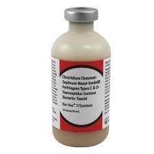 Cold Bar Vac 7/Somnus 10 Dose