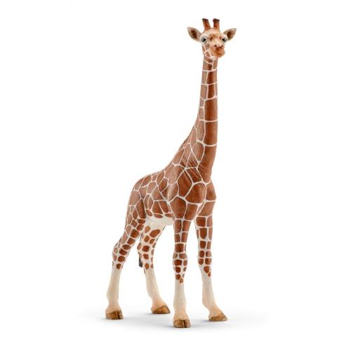 Mama Giraffe