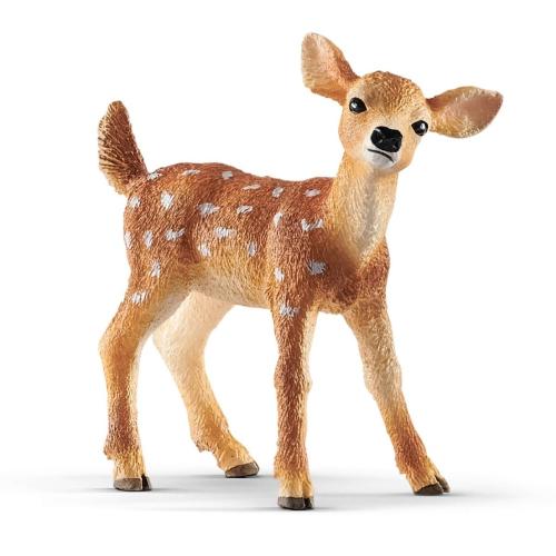 White-Tail Fawn