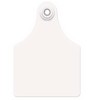 Allflex White Maxi Blank