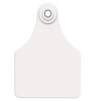 Allflex White Large Blank