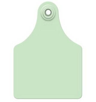 Allflex Green Maxi Blank