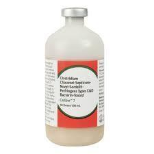 Cold Caliber 7 50Ds Cattle