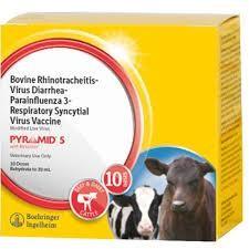 Pyramid 5 (10 Doses) Cattle