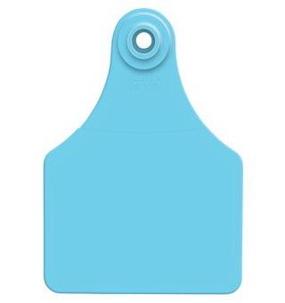 Allflex Blue Large Blank