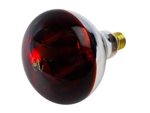 Heat Lamp Red 250Wt R40