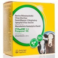 Pyramid 5+ Presponse Sq (50 Doses)