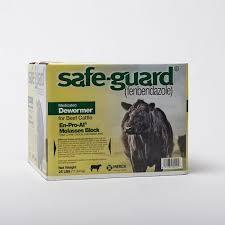 Safeguard Block 25#