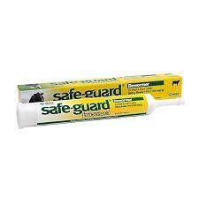 Safeguard Paste 10% 290Gram