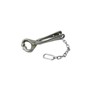 Ideal Bull Lead With Chain