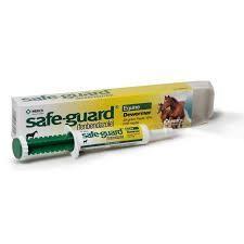 Safeguard Paste 10% 25G